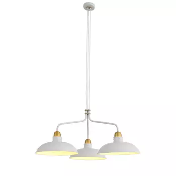 Подвесная люстра ST Luce Pietanza SL323.503.03