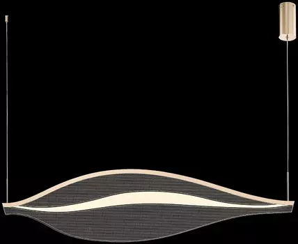 Подвесная люстра Wertmark Hetti WE450.01.343