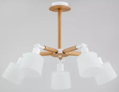 Потолочная люстра Alfa Bushwick 27005