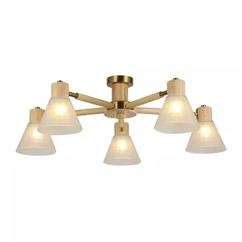 Потолочная люстра Arte Lamp A4096PL-5BR