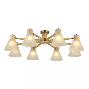 Потолочная люстра Arte Lamp A4096PL-8BR