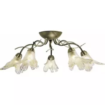 Потолочная люстра Arte Lamp A5494PL-5AB