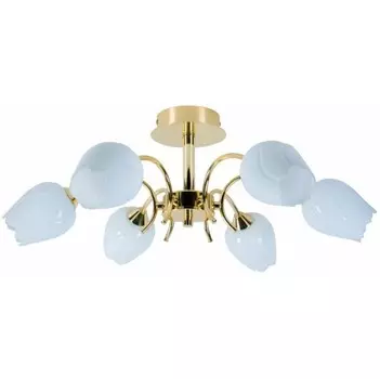 Потолочная люстра Arte Lamp A8292PL-6PB
