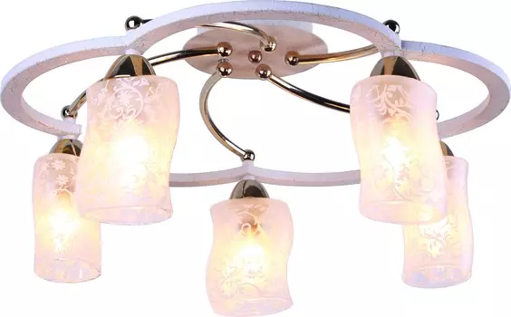Потолочная люстра Arte Lamp GIANNI A6166PL-5WG