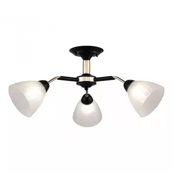 Потолочная люстра Arte Milano Napoli 324108/3 BK+FG