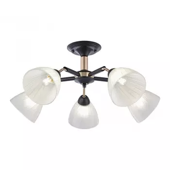 Потолочная люстра Arte Milano Napoli 324108/5 BK+FG