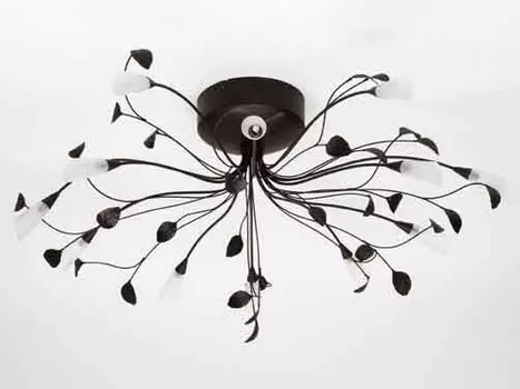 Потолочная люстра Brilliant SILVANA G56790/20