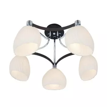 Потолочная люстра Citilux Ирис CL143151