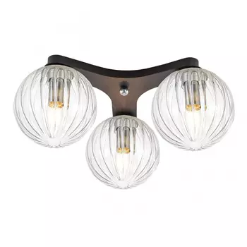 Потолочная люстра Citilux Коптер CL116131