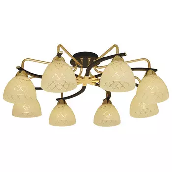 Потолочная люстра Citilux Кристи CL152282