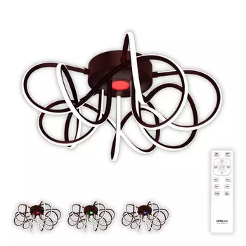 Потолочная люстра Citilux Мишель CL229155