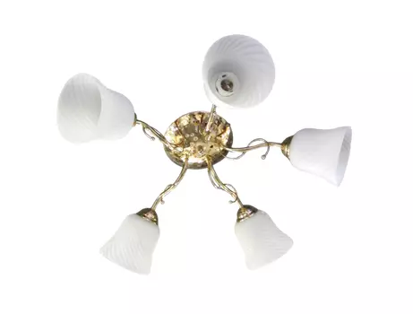 Потолочная люстра Elvan LU-38019/5A-E14-Gl+Wh