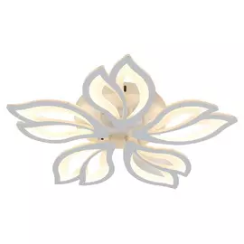 Потолочная люстра Escada 10228/5LED