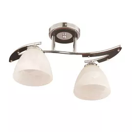 Потолочная люстра Escada Basic 203/2PL