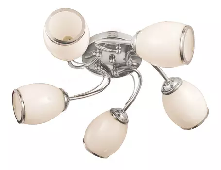 Потолочная люстра Escada Basic 695/5PL