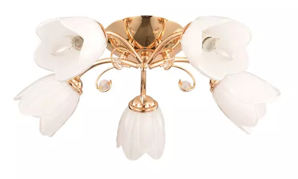 Потолочная люстра Escada Basic 696/5PL