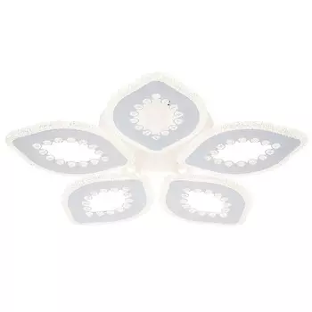 Потолочная люстра Escada Dew 10271/5LED