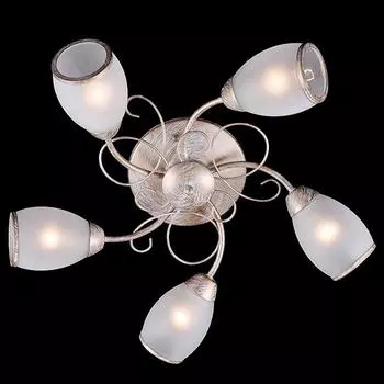 Потолочная люстра Eurosvet 30016 30016/5 белый с золотом