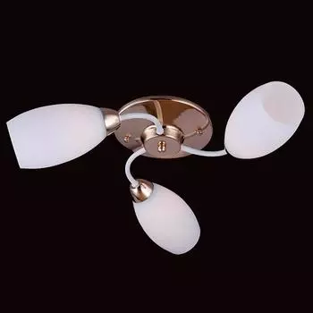 Потолочная люстра Eurosvet 30034 30034/3 золото/белый