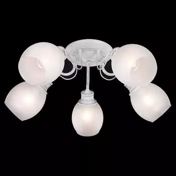 Потолочная люстра Eurosvet 70029 70029/5 белый с серебром