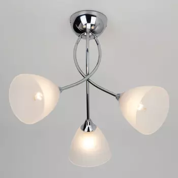 Потолочная люстра Eurosvet Nika 30117/3 хром