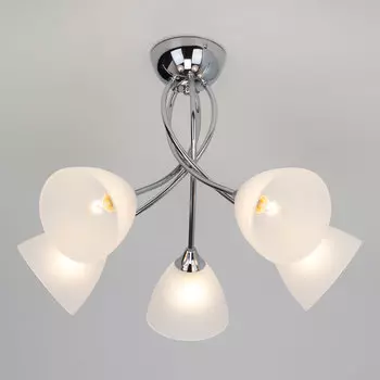 Потолочная люстра Eurosvet Nika 30117/5 хром