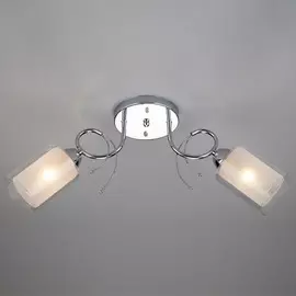 Потолочная люстра Eurosvet Renee 30122/2 хром