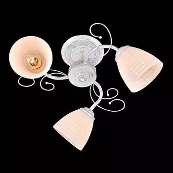 Потолочная люстра Eurosvet Сильвер 30097/3 белый с серебром