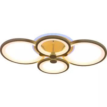 Потолочная люстра Evoled Leto SLE200322-04RGB