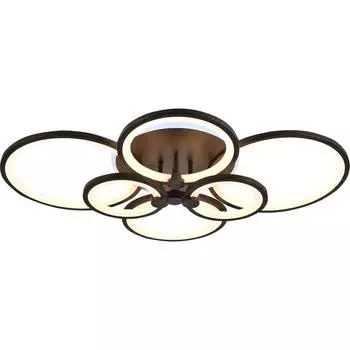 Потолочная люстра Evoled Leto SLE200372-06RGB