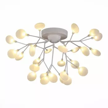 Потолочная люстра Evoluce Avola SLE250102-27