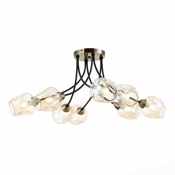 Потолочная люстра Evoluce Besano SLE205302-08