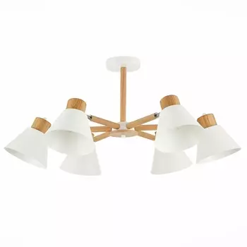 Потолочная люстра Evoluce Buve SLE103702-06