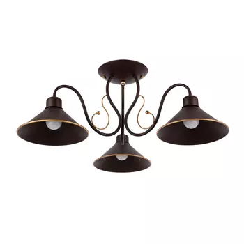 Потолочная люстра Evoluce Ciolla SLE120402-03