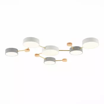 Потолочная люстра Evoluce Dossena SLE600102-06