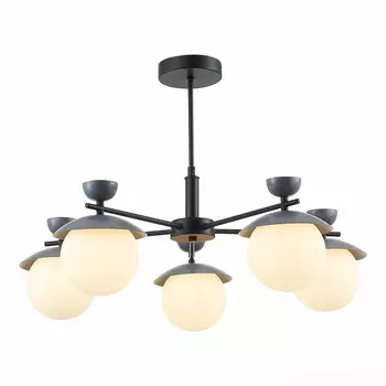 Потолочная люстра Evoluce Genova SLE220202-05