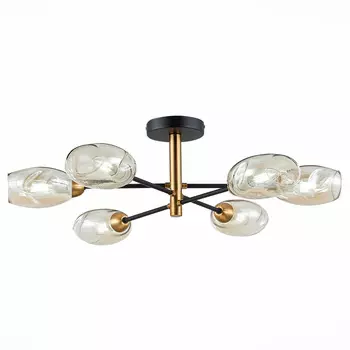 Потолочная люстра Evoluce Gloa SLE155502-06