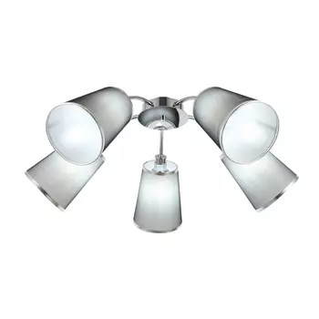 Потолочная люстра Evoluce Maleonte SLE103002-05