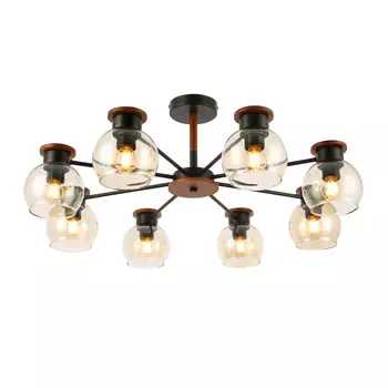 Потолочная люстра Evoluce Rasco SLE108102-08