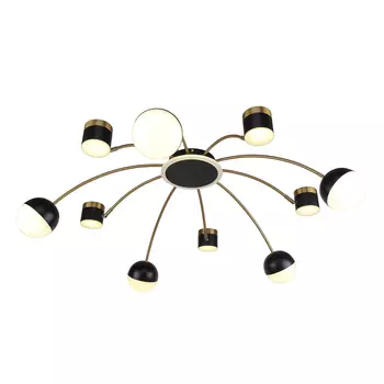 Потолочная люстра F-Promo Canvas 3096-10P