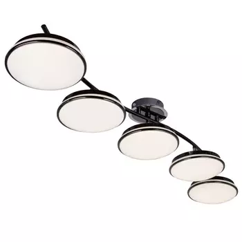 Потолочная люстра F-Promo Ledante 2478-5U