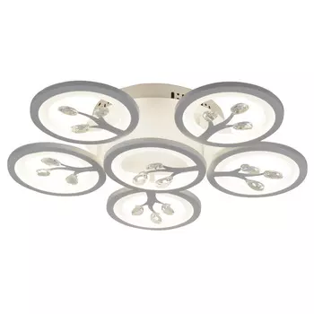 Потолочная светодиодная люстра Ramus F-Promo 2390-6U