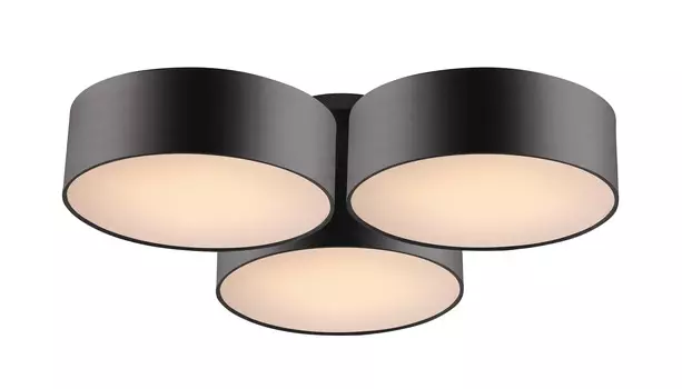 Потолочная люстра Favourite Cerchi 1514-6C