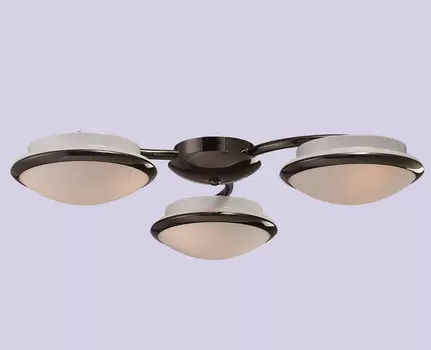 Потолочная люстра Favourite Galaxy 1020-6U