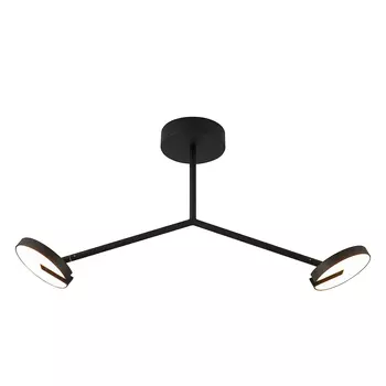 Потолочная люстра Favourite Paritet 4401-2C