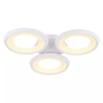 Потолочная светодиодная люстра Blis Freya FR6010CL-L51W