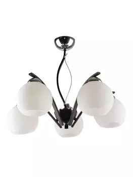 Потолочная люстра Hiper Anna H015-5