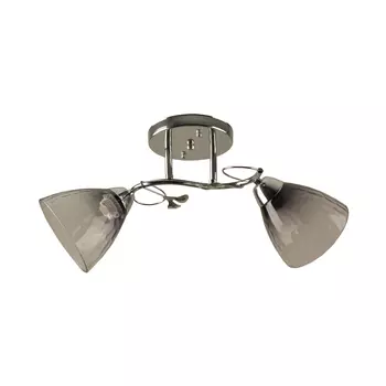 Потолочная люстра Hiper Rosa H197-2