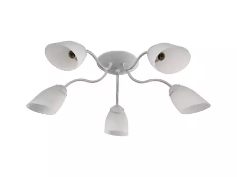 Потолочная люстра J-light Balu 1510/5C