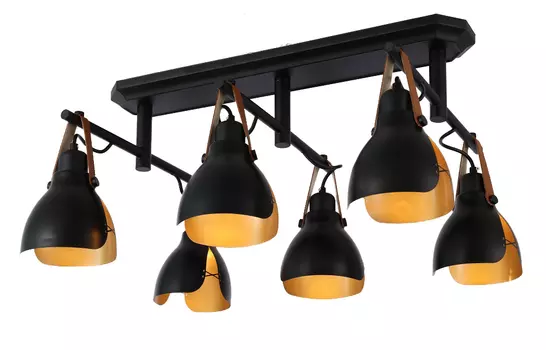 Потолочная люстра J-light Larry 2363/6C